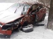 Внедорожник в Николаевской области врезался в дерево