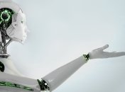 Власти Японии планируют провести съезд роботов