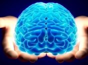 Развитие мозга сказывается на социальном поведении людей