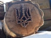 Эскалация на Донбассе: есть погибшие и раненые