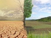 Изменения климата вынуждают растения "мигрировать"