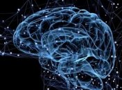 Ученые успешно протестировали протез памяти для мозга