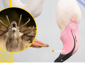 Ілюстративне фото