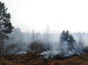 Ситуация с пожарами: спасатели ликвидировали еще один очаг возгорания на Житомирщине