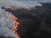 Из-за поджогов в лесах Нацгвардия начала антидиверсионную операцию