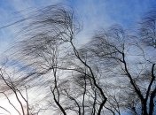 В Киеве ожидаются сильные порывы ветра