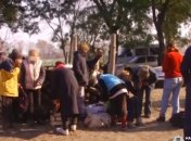 Под Одессой полиция спасла почти сотню людей из рабства 