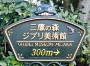 И на карантине можно в музей сходить: музей Ghibli запустил виртуальные туры