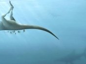 Жил 115 млн лет назад и был длинной до 4 метров: ученые обнаружили самого хрупкого динозавра