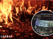 Поджигатели задержаны