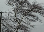 Порывы ветра 15-18 м/с ожидаются в ближайшие 2 часа в Киеве