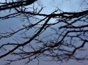 Приметы и обряды на 24 октября - Филиппов день