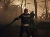 К ликвидации пожаров на Луганщине привлекли авиацию