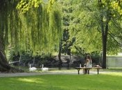 Затвердили роботу перукарень, парків та магазинів в умовах карантину