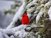 Не время терять осторожность: синоптик предупредила о непогоде в середине недели