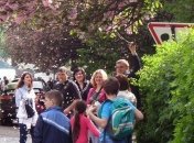 В Ужгороде проходит фестиваль "Сакурафест" 