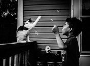 Невероятно трогательная дружба ребенка с домашними животными