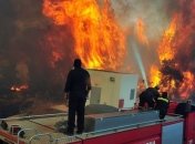 Лесной пожар на Афоне уничтожил более 2 тысяч га леса 