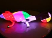 Мечта всех девушек исполнена: созданы чернила, которые могут менять цвет одежды