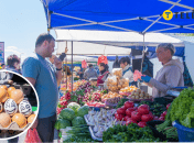 На вас чекає живе спілкування та якісні товари