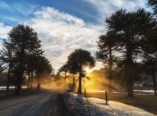 Яке сьогодні свято — Агеєв день