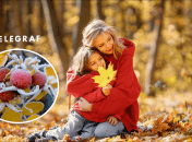 Погода в Україні