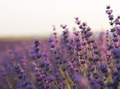 Пройдите тест и узнайте, что вас ждет