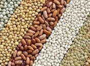 В чем польза бобовых культур?