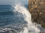 Люди не при чем? Что оказывает большое влияние на морскую жизнь