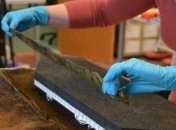 В Шотландии археологи раскопали древнее поселение