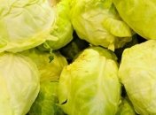 28% агрохолдингов не имеют собственных мощностей для хранения 