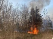 В Кабмине предложили давать сроки за причинение пожаров в экосистемах