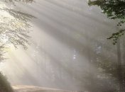 Приметы и обряды на 12 октября - Феофанов день