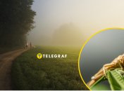 Опасна ли для человека саранча