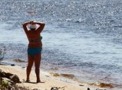 Столичные пляжи начнет убирать машина для просеивания песка 