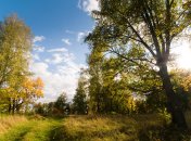 Яке сьогодні свято – День святого мученика Олександра