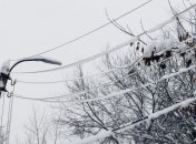 Снегопады в Украине: без света остались десятки населенных пунктов 