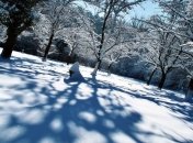 Прогноз погоды в Украине на сегодня: снег пройдет только в Крыму