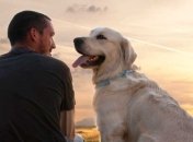 Доказано, что владельцы собак счастливее и богаче владельцев кошек