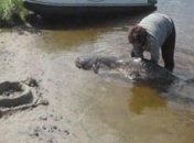 Под Чернобылем поймали гигантского сома