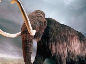 Во Франции обнаружен полностью сохранившийся скелет мамонта