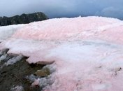 Ученые выяснили, почему тают арктические ледники