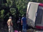 В Мексике автобус с туристами потерял управление: 11 погибших 