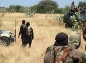 В Африке боевики Боко Харам напали на рыбаков: 50 погибших