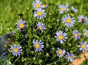 Какая будет весна в 2020 году - ранняя или поздняя