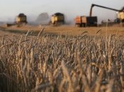 В Україні з'явився сервіс з перевірки заяв на реєстрацію земельних ділянок