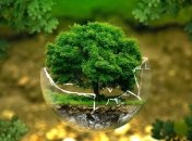 Не все потеряно: половина Земли еще не подвержена влиянию человека