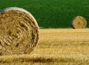 Урожай-2019: на сегодняшний день в Украине собрали 23,5 млн тонн зерна