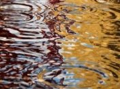 Погода в Украине на 5 апреля: преимущественно дожди, местами грозы