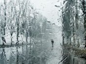 Прогноз погоды на 2 апреля: Украину ожидает похолодание и дождь 